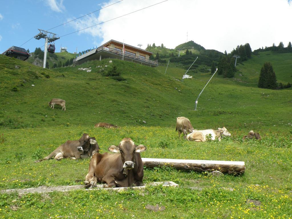 Kathrein * Reutte