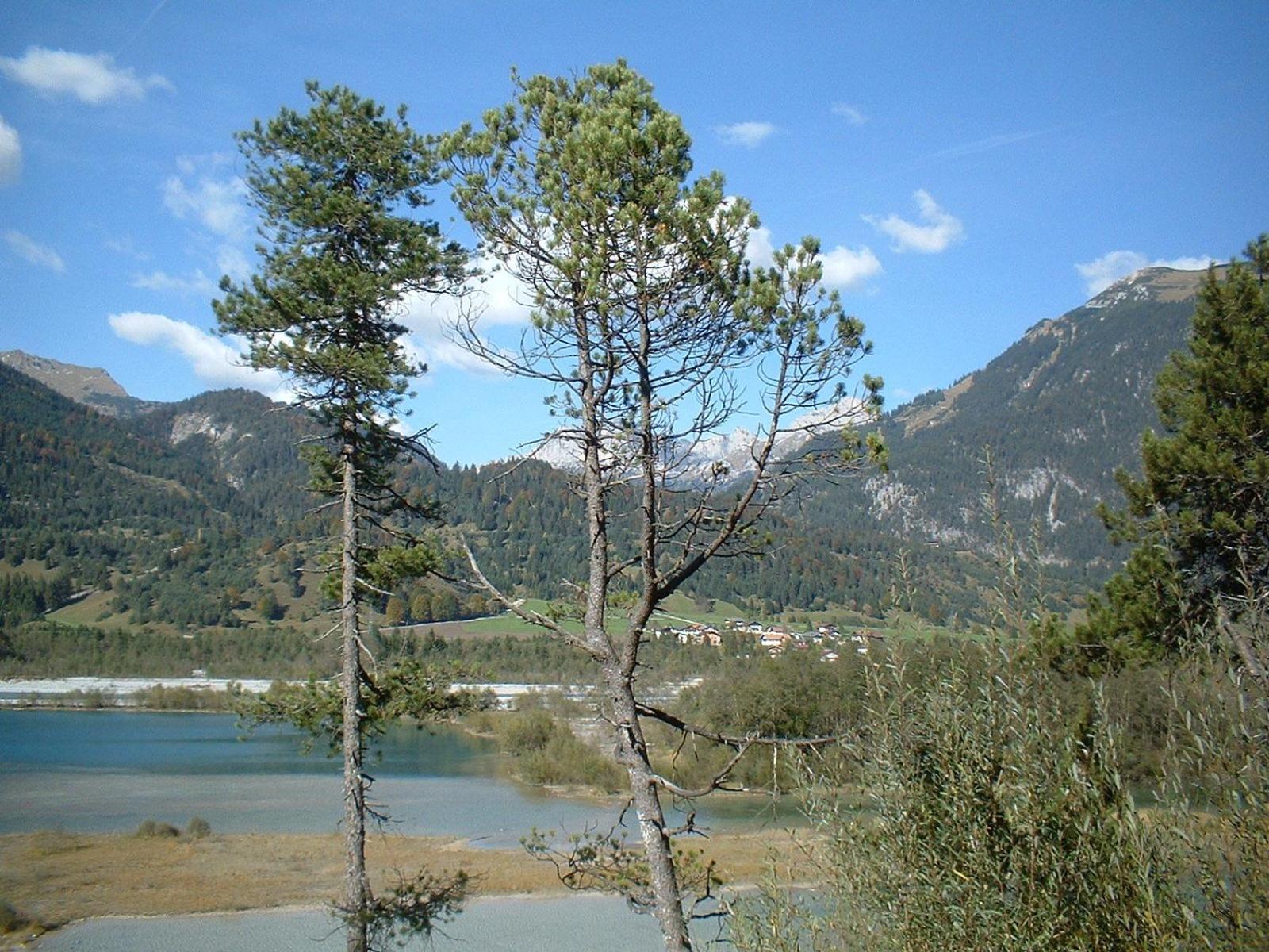 Apartamento Kathrein *