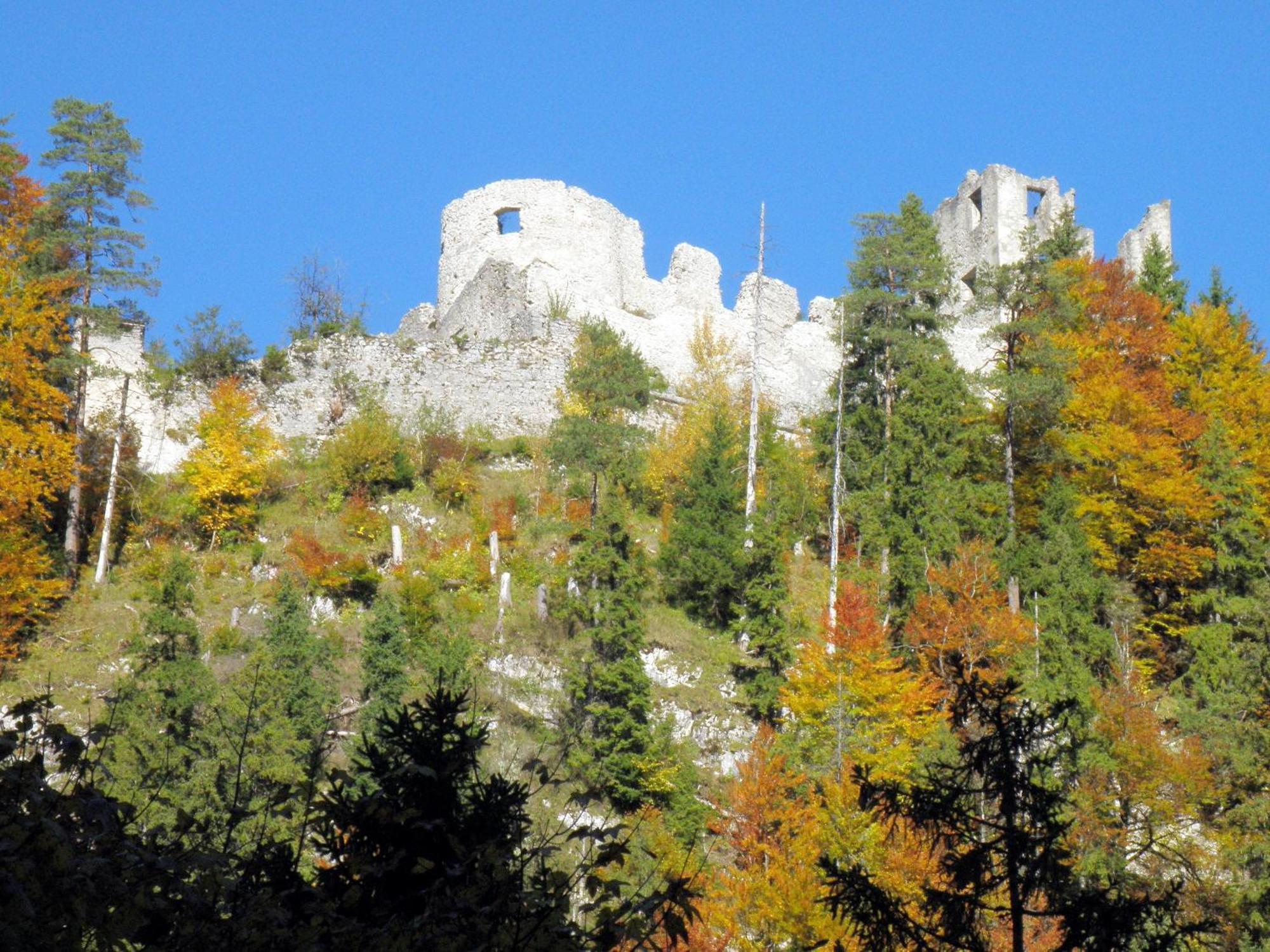 Kathrein Apartment